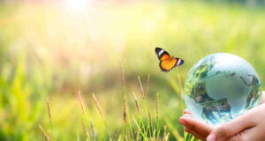 reciclare-sticle-plastic