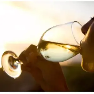 DOMENIILE ZORESTI NISCOV Frizzante Vin Alb 0,75 L in pahar, livrare acasa si la firma.
