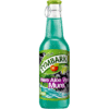 TYMBARK Bautura Racoritoare cu Aroma de Mure si Aloe Vera 12 x 0,25 L livrare la domiciliu si livrare firma.