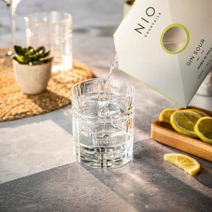 Nio Cocktail Gin Sour 0,1 L