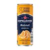 S.PELLEGRINO Portocale 6 x 0,33 L